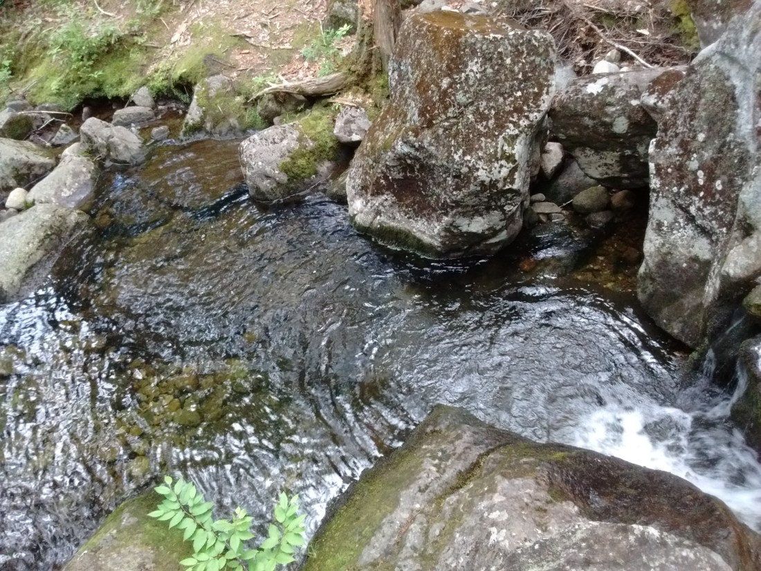 IMG_20170721_181311189