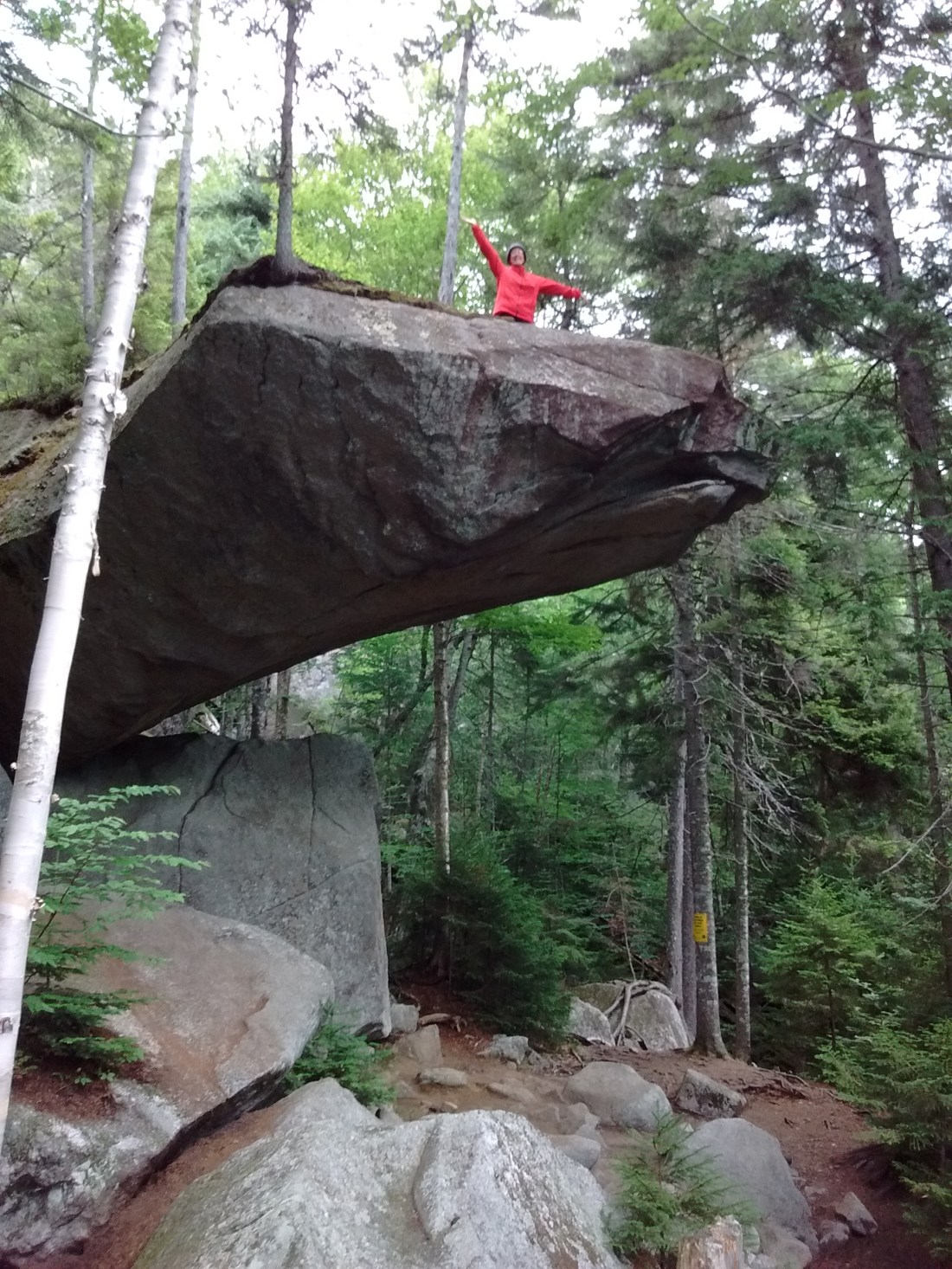 IMG_20170728_082922215