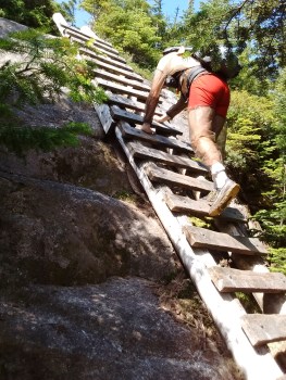 IMG_20170802_110451342