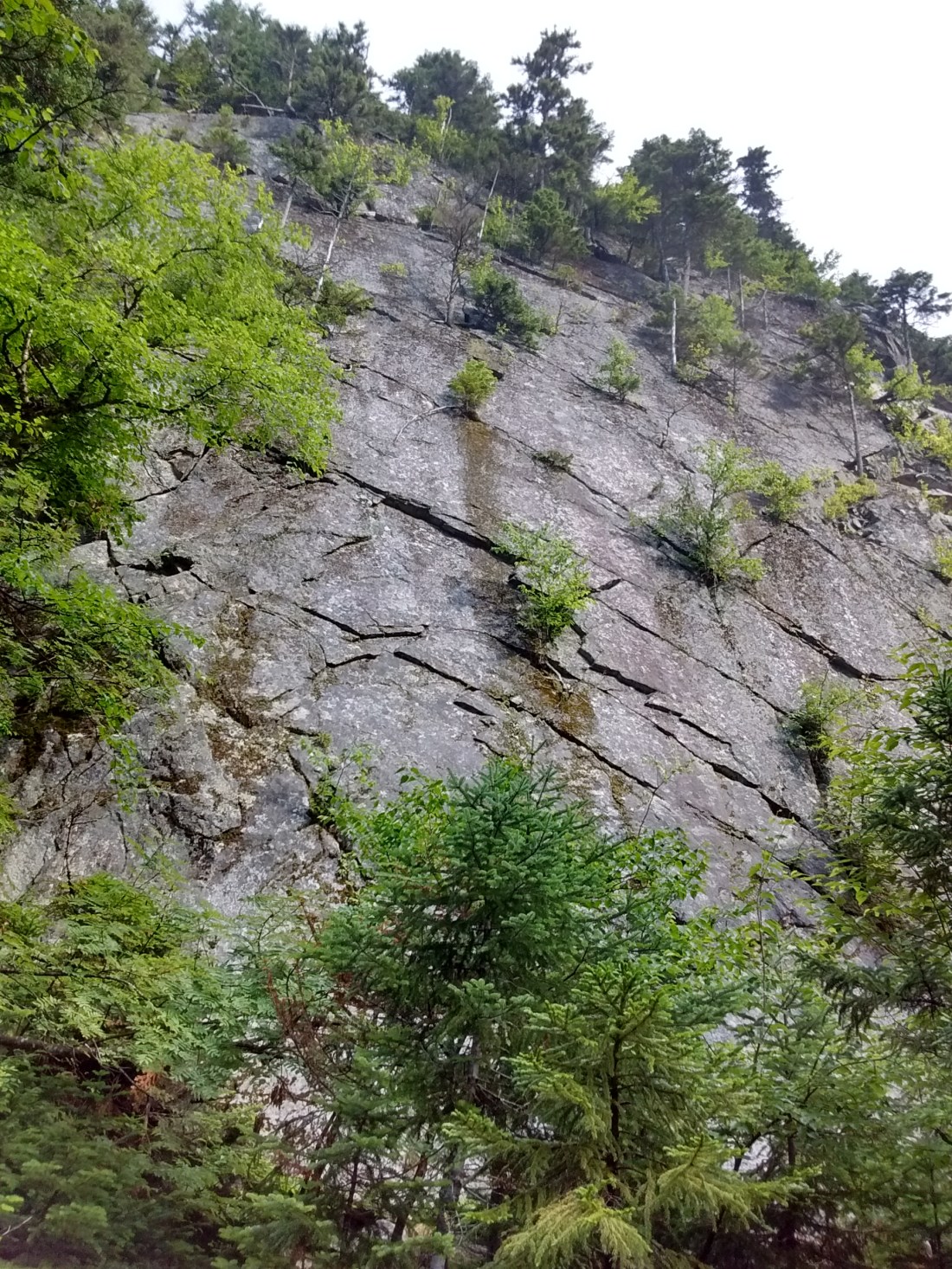 IMG_20170804_093619361_HDR