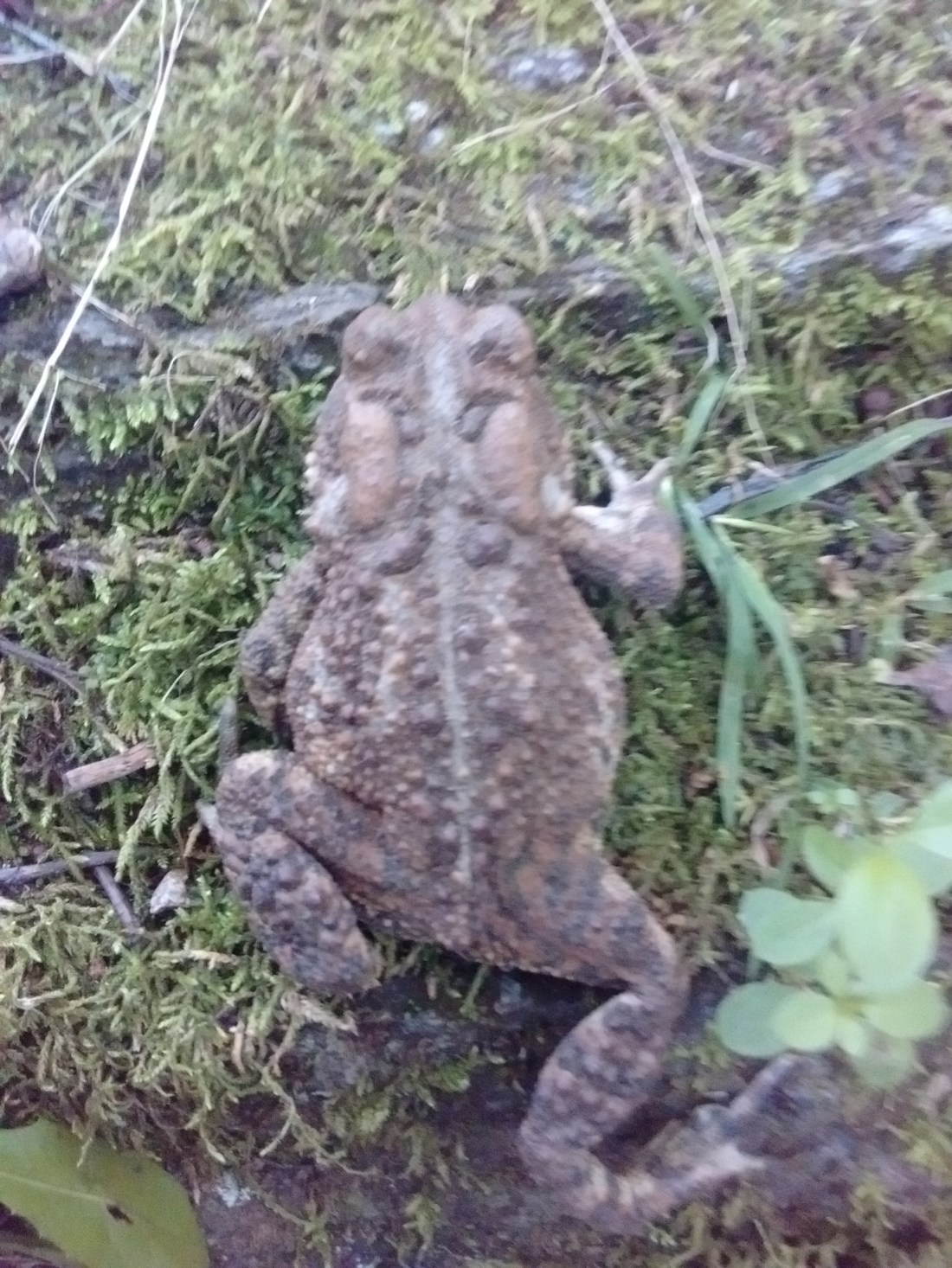 IMG_20170901_080703244