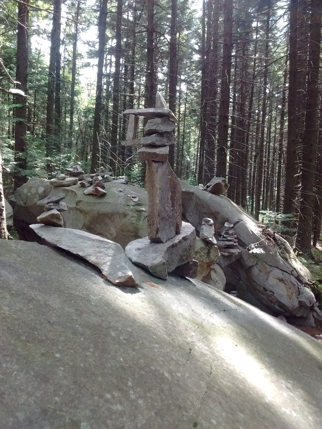 IMG_20170901_141359168