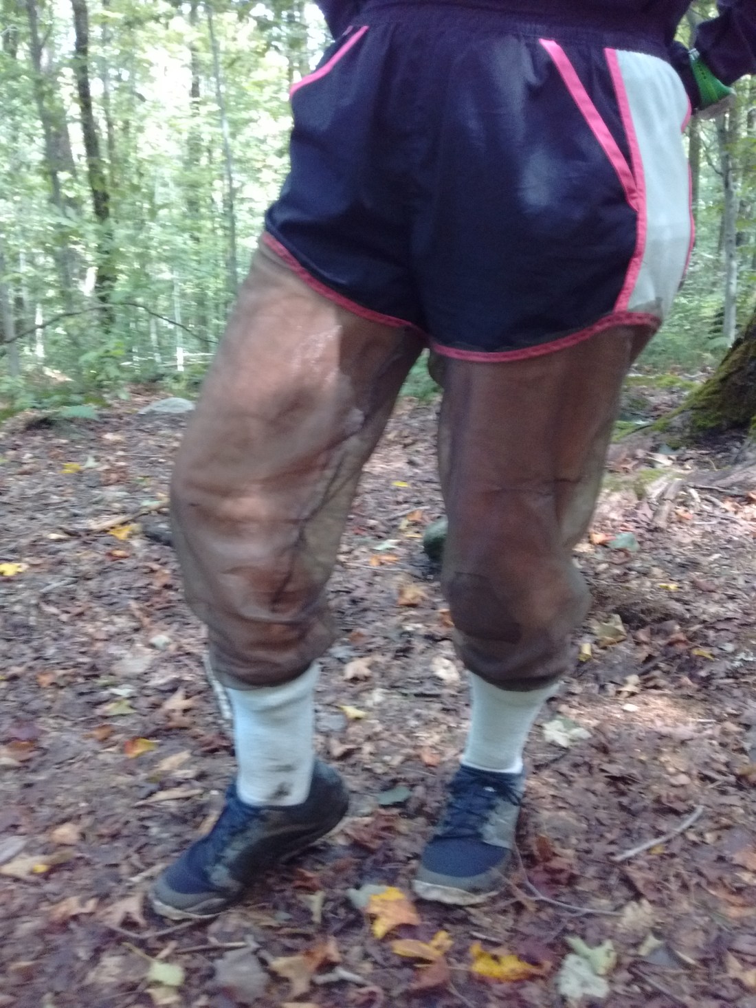 IMG_20170904_122751527