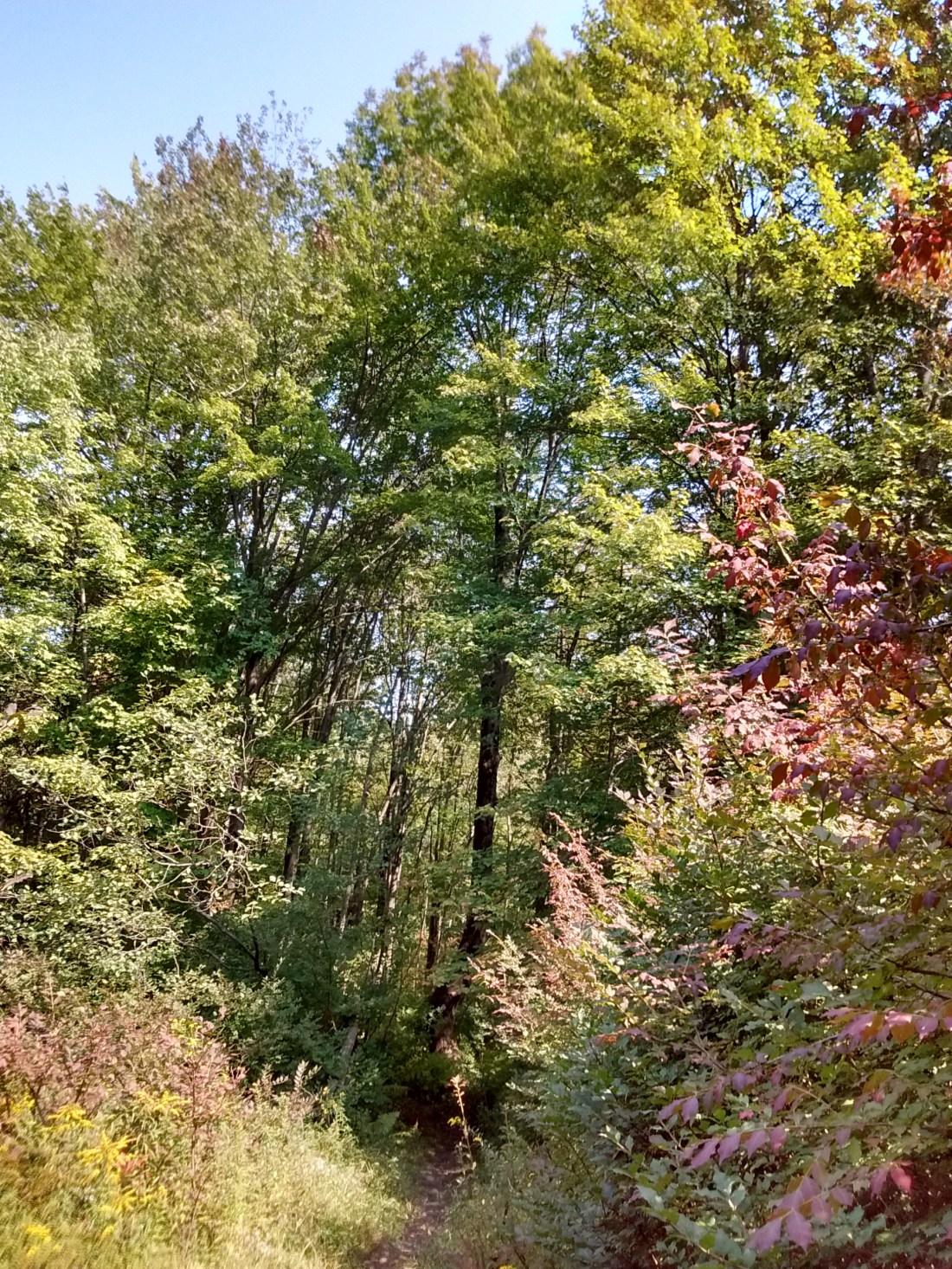 IMG_20170910_134336500_HDR