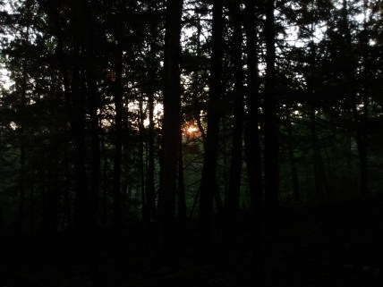 IMG_20170911_065707136