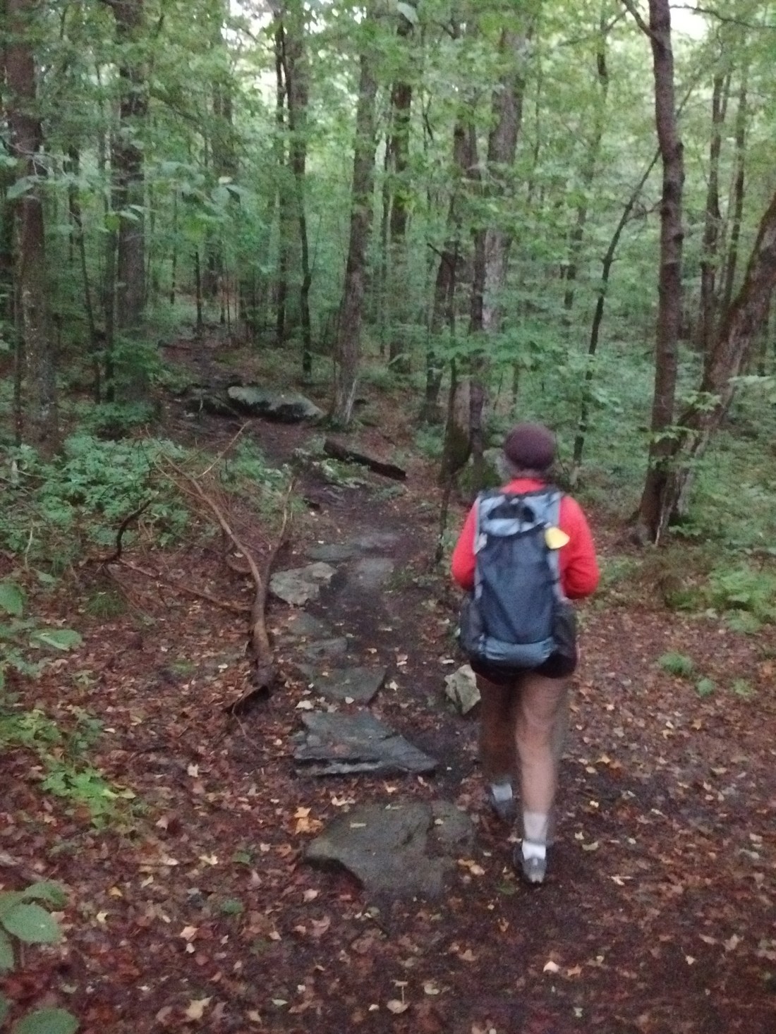 IMG_20170904_075116603