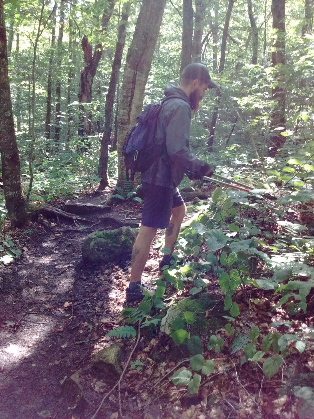 IMG_20170904_120216806