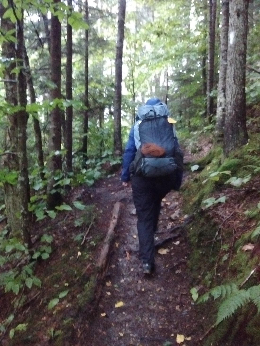 IMG_20170906_085744658