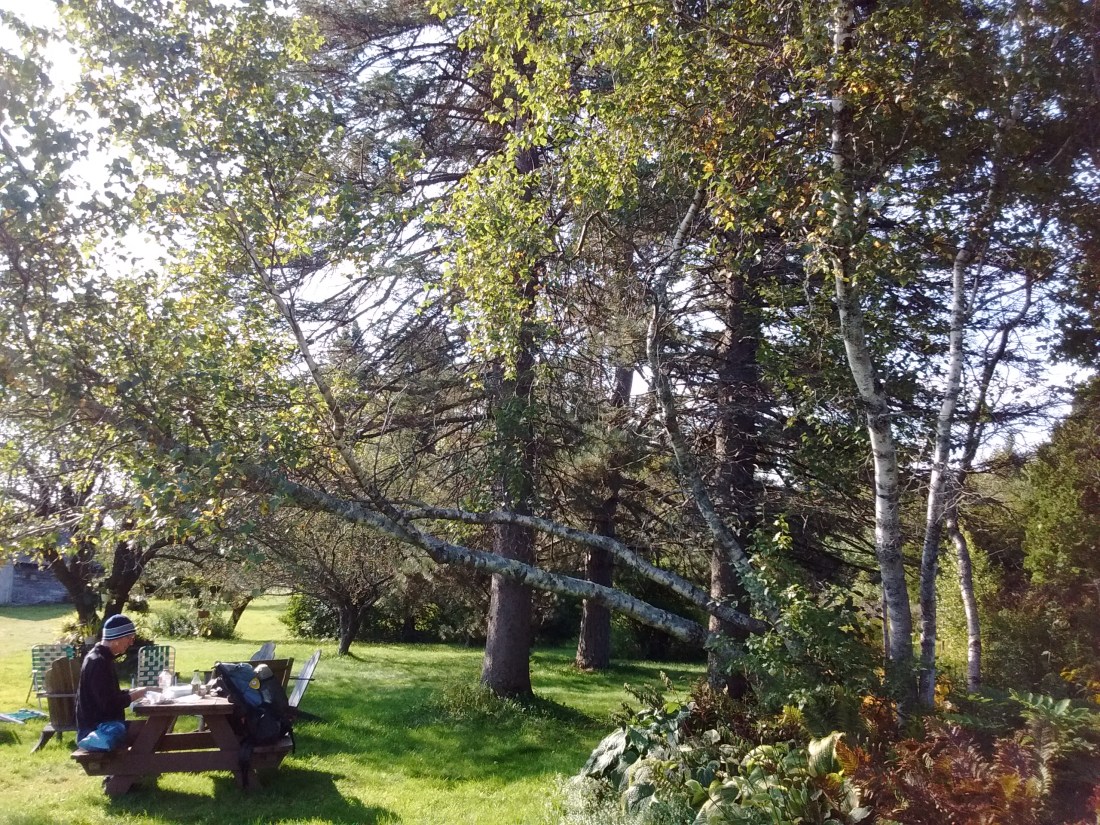 IMG_20170912_090641359