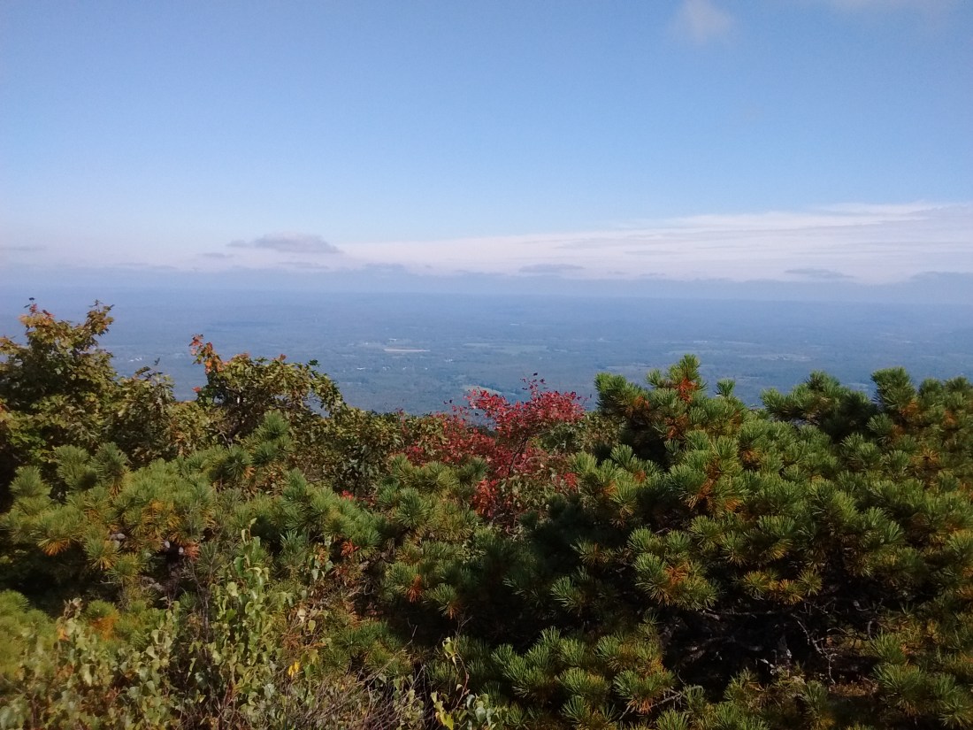 IMG_20170918_152446909