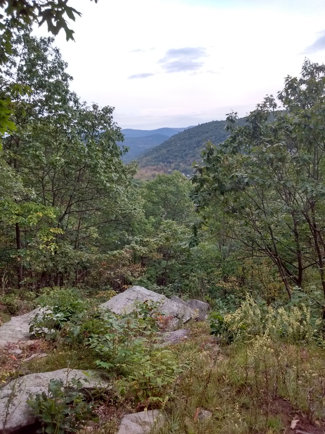 IMG_20170920_164049866_HDR