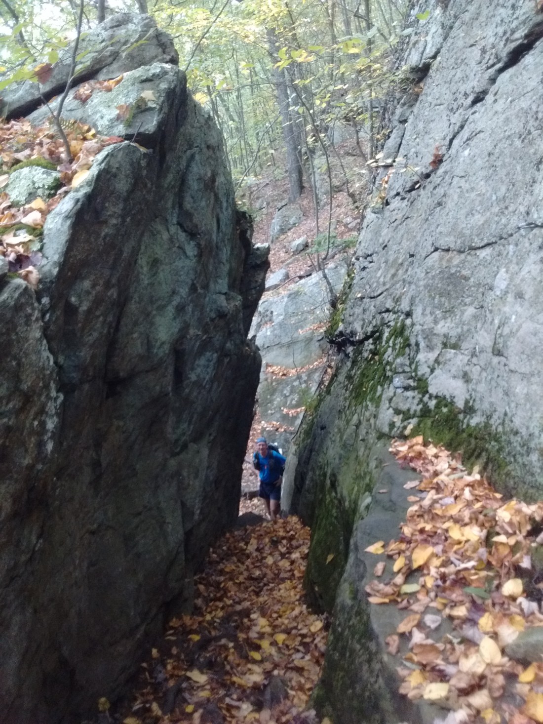 IMG_20170920_164415754