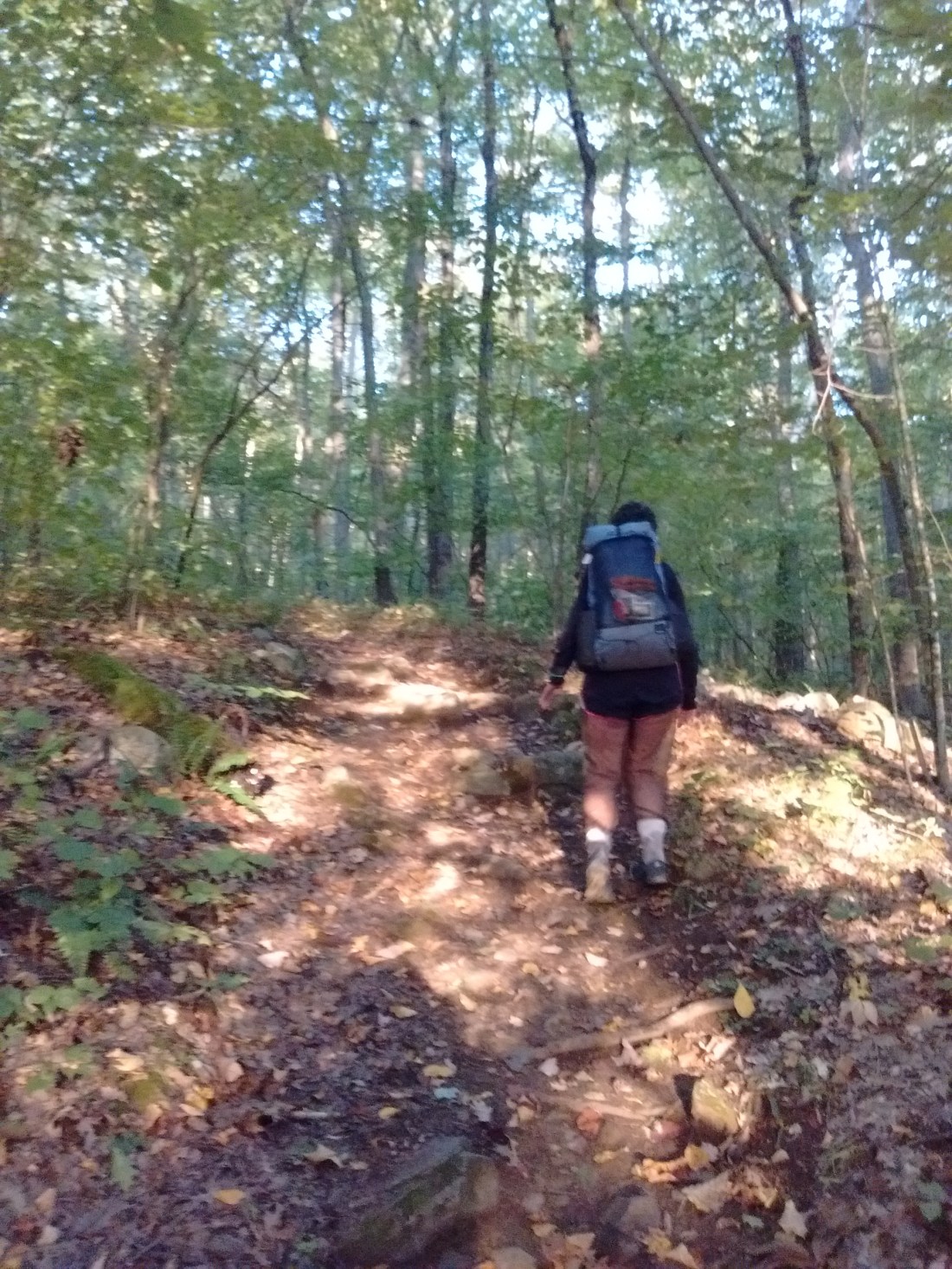 IMG_20170921_071337910