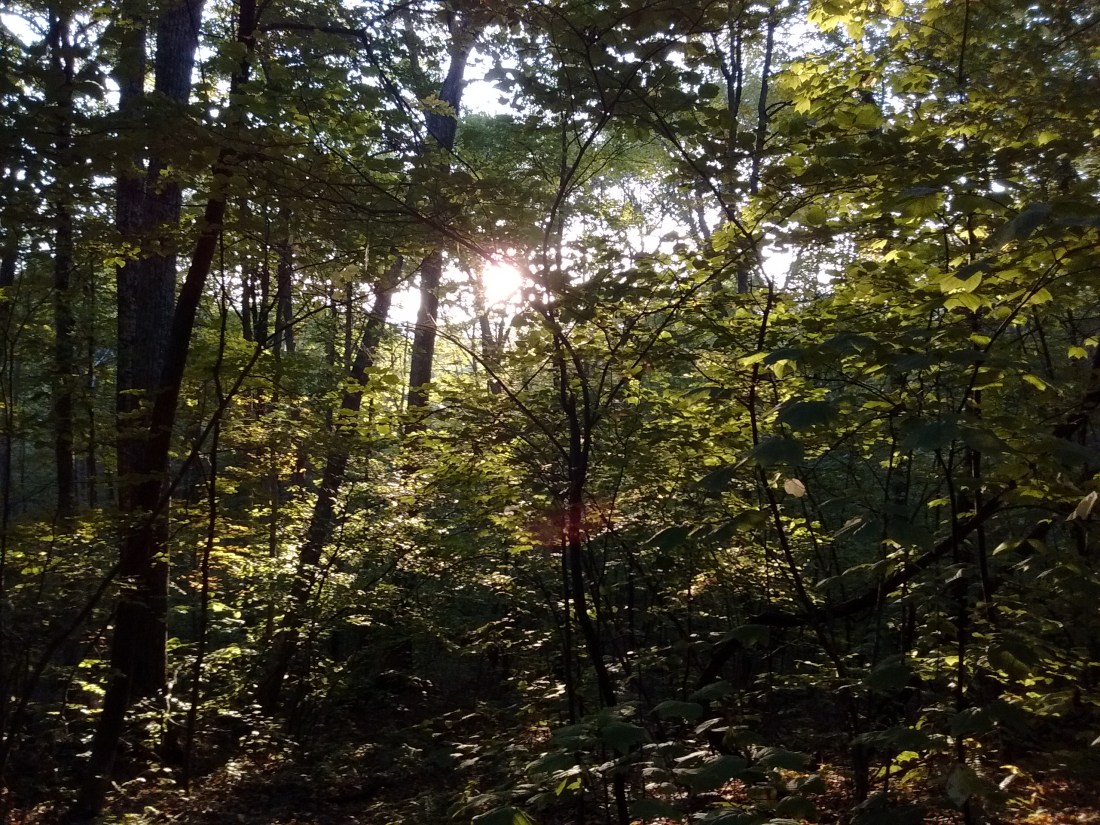 IMG_20170921_071502692