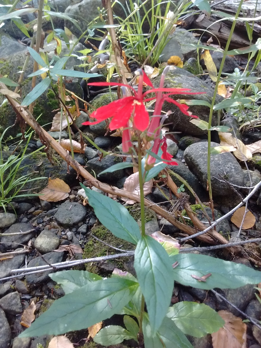 IMG_20170921_094010920