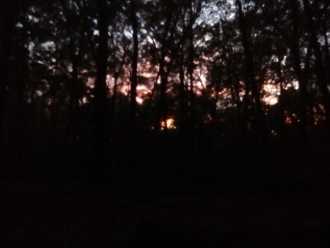 IMG_20170921_190338581