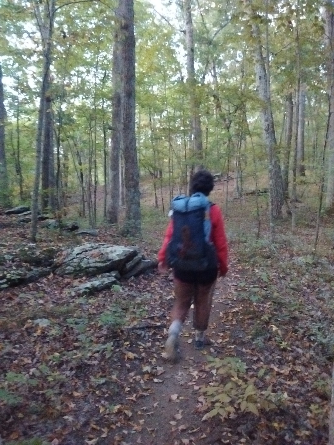 IMG_20170922_064419603