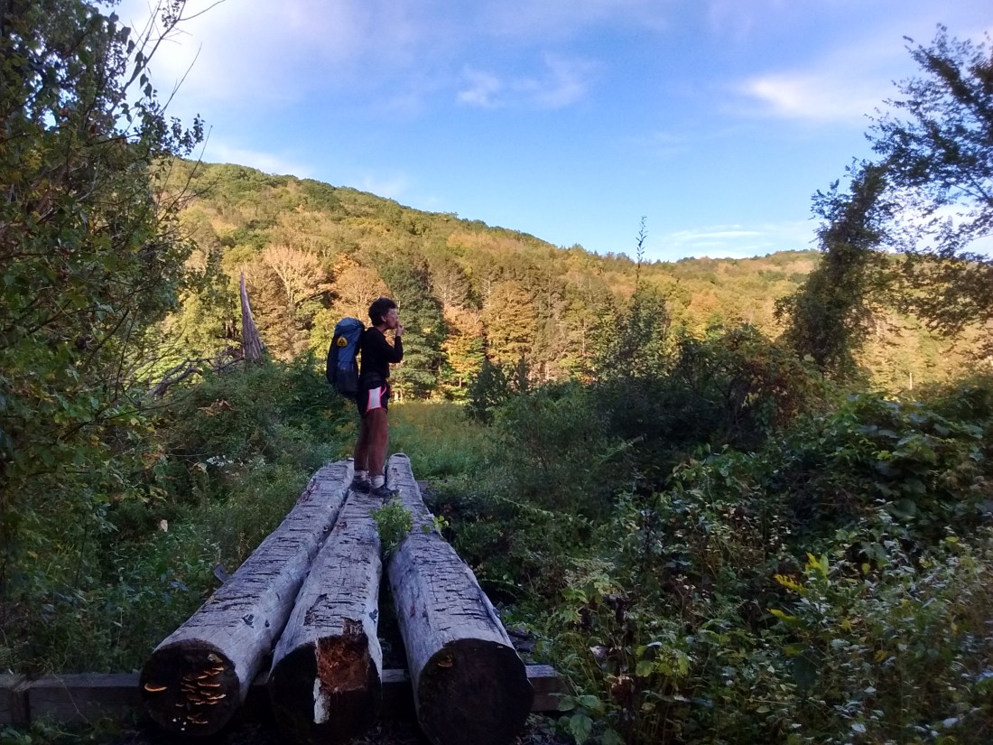 IMG_20170922_074936745_HDR