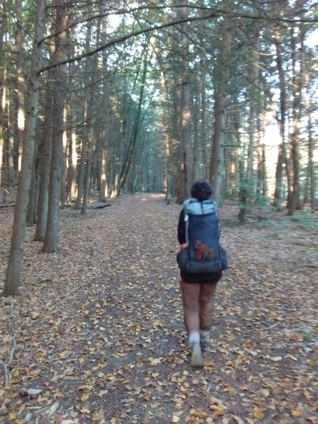 IMG_20170923_073451248