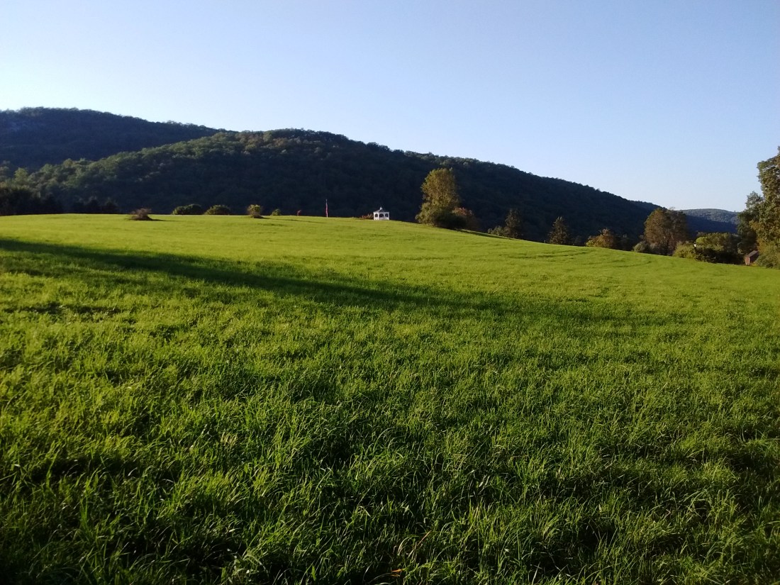 IMG_20170923_173001739