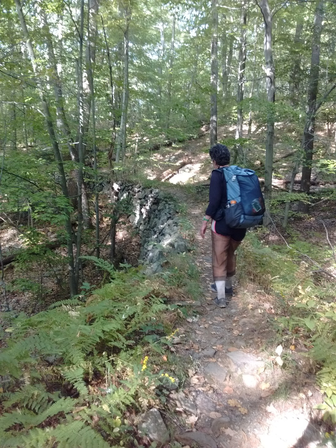 IMG_20170926_093616232