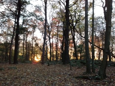 IMG_20171025_074329449