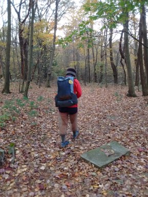 IMG_20171025_083040458