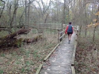 IMG_20171030_094040743