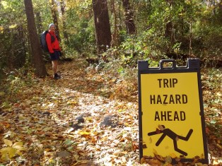 IMG_20171030_110936152