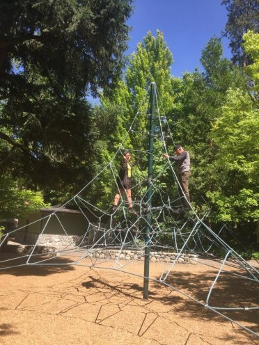 2018-06-22 rope tower in lithia park571727511..jpg